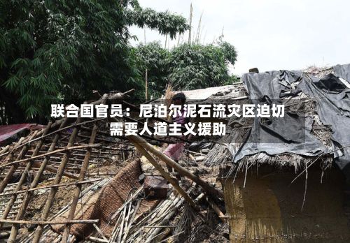 联合国官员：尼泊尔泥石流灾区迫切需要人道主义援助