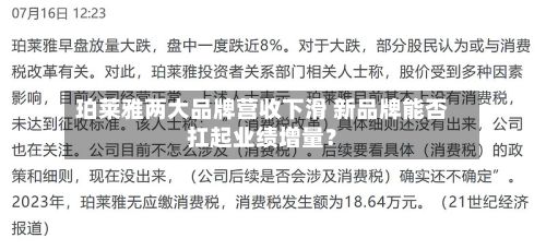 珀莱雅两大品牌营收下滑 新品牌能否扛起业绩增量？