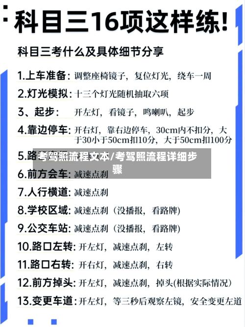 考驾照流程文本/考驾照流程详细步骤-第2张图片
