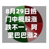 8月29日热门中概股涨跌不一，阿里巴巴涨2.23%，台积电跌2.29%-第2张图片