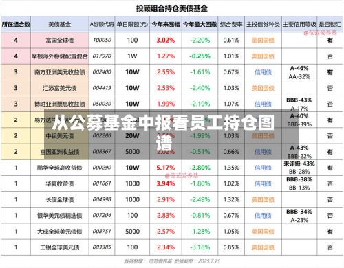 从公募基金中报看员工持仓图谱-第2张图片