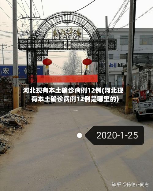 河北现有本土确诊病例12例(河北现有本土确诊病例12例是哪里的)