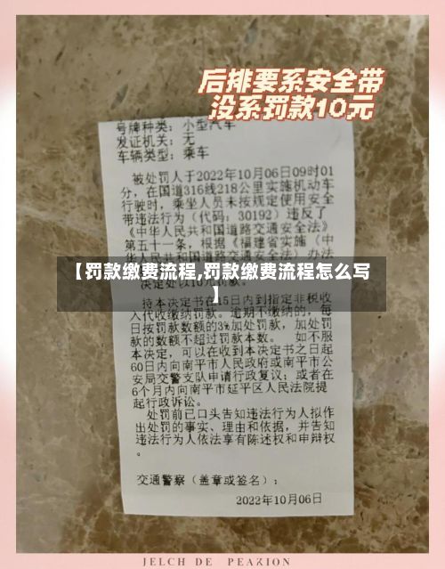 【罚款缴费流程,罚款缴费流程怎么写】