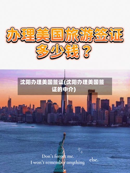 沈阳办理美国签证(沈阳办理美国签证的中介)