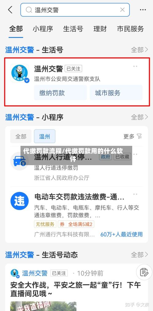 代缴罚款流程/代缴罚款用的什么软件