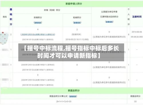 【摇号中标流程,摇号指标中标后多长时间才可以申请新指标】