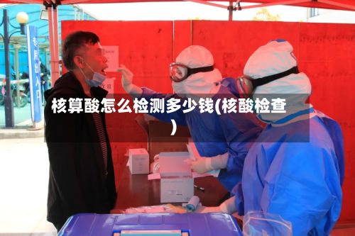 核算酸怎么检测多少钱(核酸检查)-第2张图片