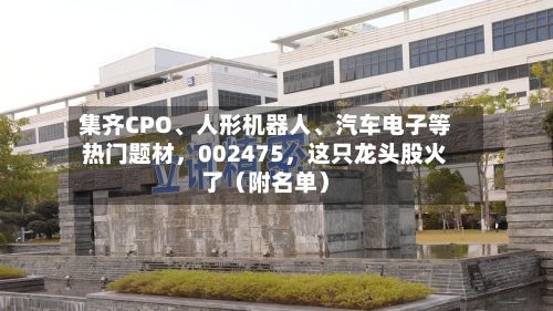 集齐CPO、人形机器人、汽车电子等热门题材，002475	，这只龙头股火了（附名单）-第2张图片