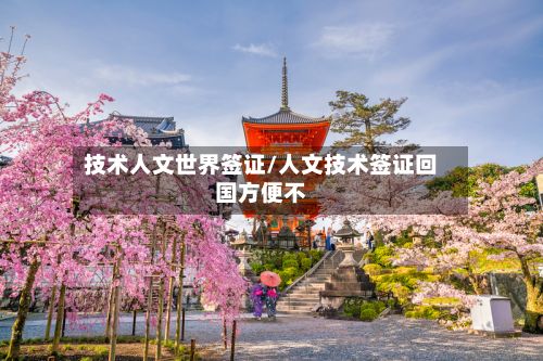 技术人文世界签证/人文技术签证回国方便不