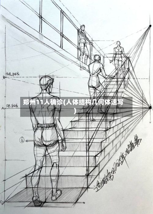 郑州11人确诊(人体结构几何体速写)