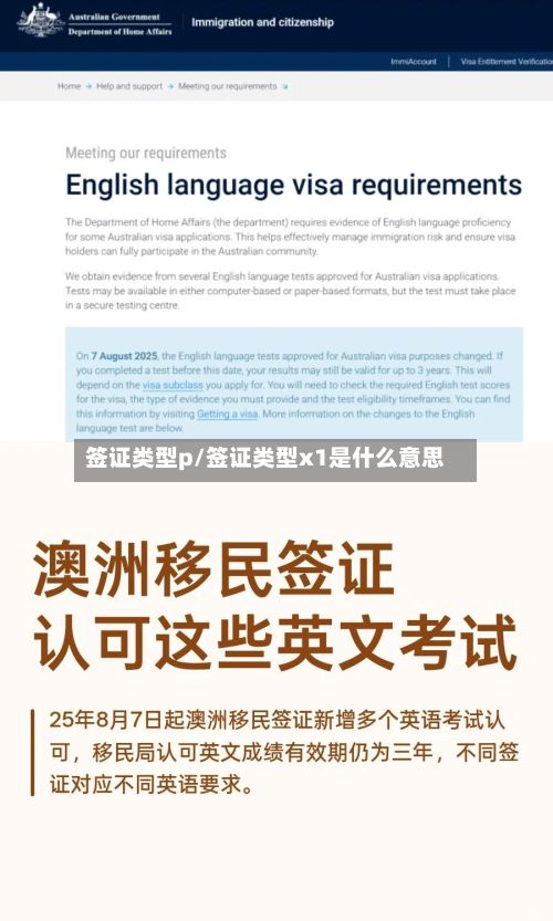 签证类型p/签证类型x1是什么意思