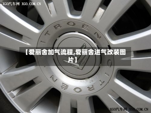 【爱丽舍加气流程,爱丽舍进气改装图片】-第2张图片
