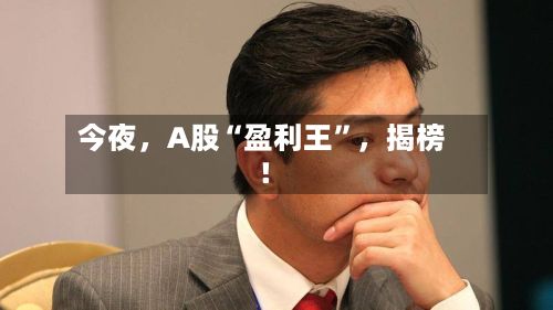 今夜，A股“盈利王	”	，揭榜！-第2张图片