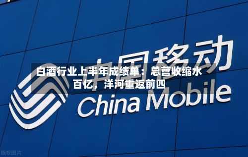 白酒行业上半年成绩单：总营收缩水百亿，洋河重返前四