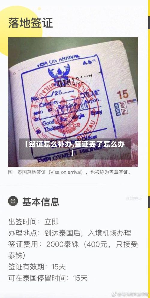 【签证怎么补办,签证丢了怎么办】-第2张图片