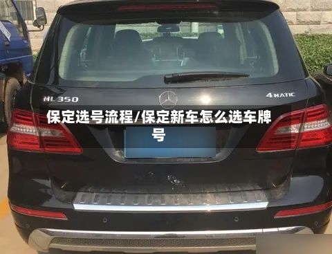 保定选号流程/保定新车怎么选车牌号-第2张图片