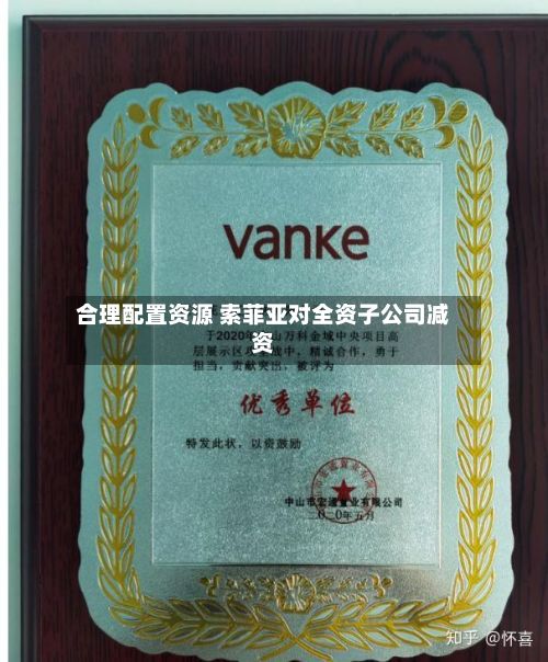 合理配置资源 索菲亚对全资子公司减资