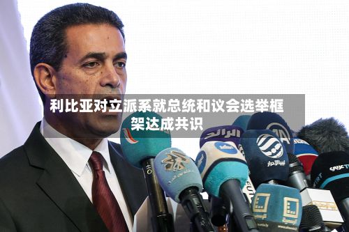 利比亚对立派系就总统和议会选举框架达成共识-第3张图片