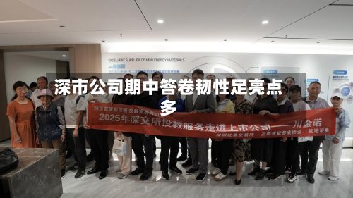 深市公司期中答卷韧性足亮点多-第2张图片