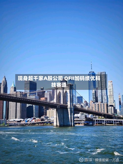 现身超千家A股公司 QFII加码绩优科技赛道