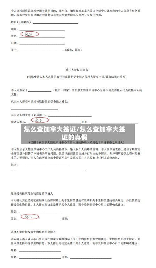 怎么查加拿大签证/怎么查加拿大签证的真假-第2张图片