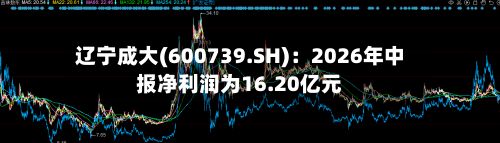 辽宁成大(600739.SH)：2026年中报净利润为16.20亿元-第3张图片
