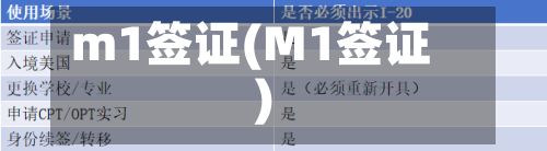 m1签证(M1签证)