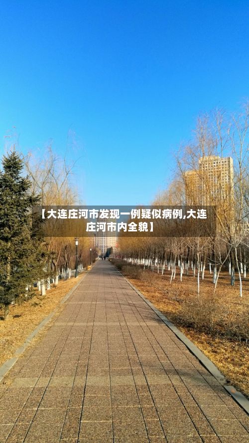 【大连庄河市发现一例疑似病例,大连庄河市内全貌】-第2张图片