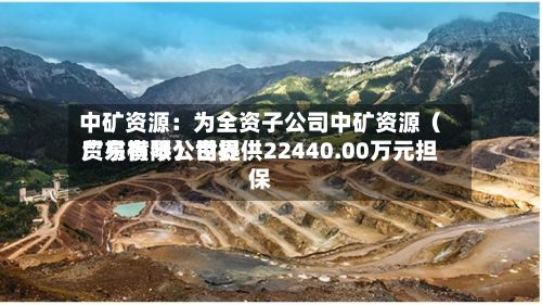 中矿资源：为全资子公司中矿资源（广东横琴）世界贸易有限公司提供22440.00万元担保-第3张图片