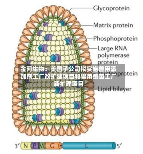 金河生物：美国子公司拟实施兽用添加剂工厂改扩建项目和兽用疫苗工厂新扩建项目-第2张图片