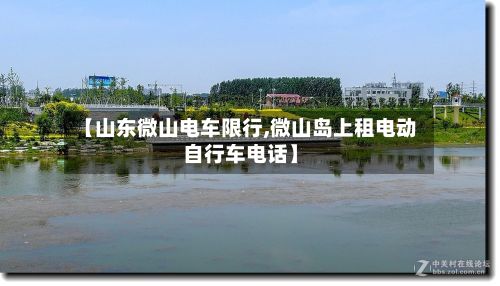 【山东微山电车限行,微山岛上租电动自行车电话】-第3张图片