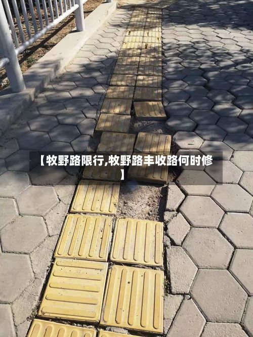 【牧野路限行,牧野路丰收路何时修】-第2张图片