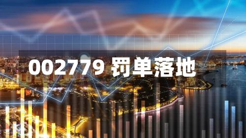 002779 罚单落地