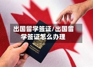 出国留学签证/出国留学签证怎么办理-第3张图片