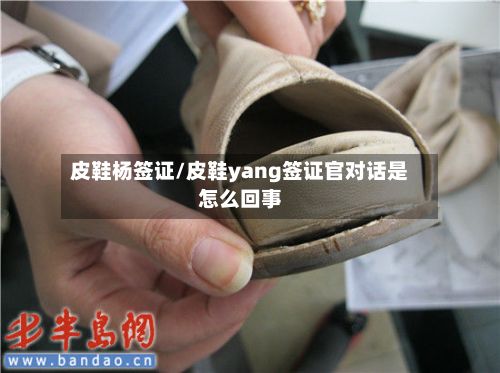 皮鞋杨签证/皮鞋yang签证官对话是怎么回事