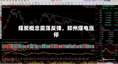煤炭概念震荡反弹,郑州煤电涨停