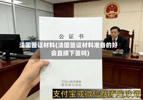 法国签证材料(法国签证材料准备的好会直接下签吗)-第2张图片