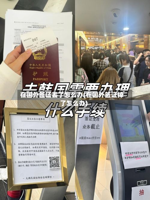 在国外签证丢了怎么办(在国外签证掉了怎么办)