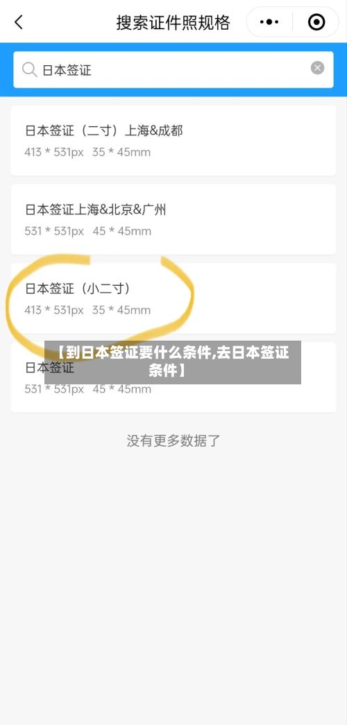【到日本签证要什么条件,去日本签证条件】