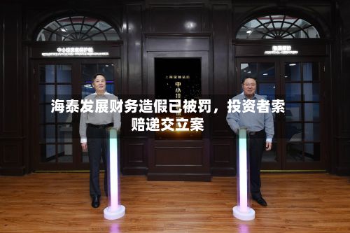 海泰发展财务造假已被罚，投资者索赔递交立案-第3张图片