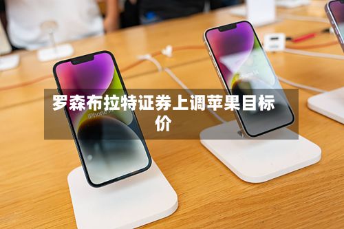 罗森布拉特证券上调苹果目标价
