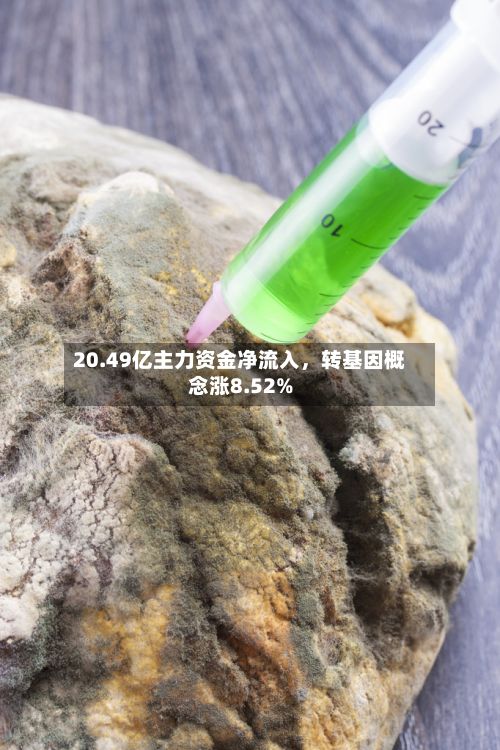 20.49亿主力资金净流入，转基因概念涨8.52%-第2张图片