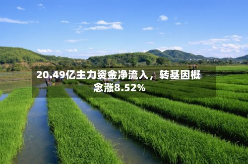 20.49亿主力资金净流入,转基因概念涨8.52%