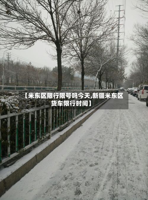 【米东区限行限号吗今天,新疆米东区货车限行时间】-第2张图片
