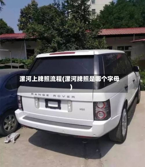 漯河上牌照流程(漯河牌照是哪个字母)