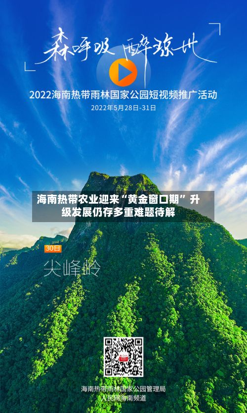 海南热带农业迎来“黄金窗口期” 升级发展仍存多重难题待解-第2张图片
