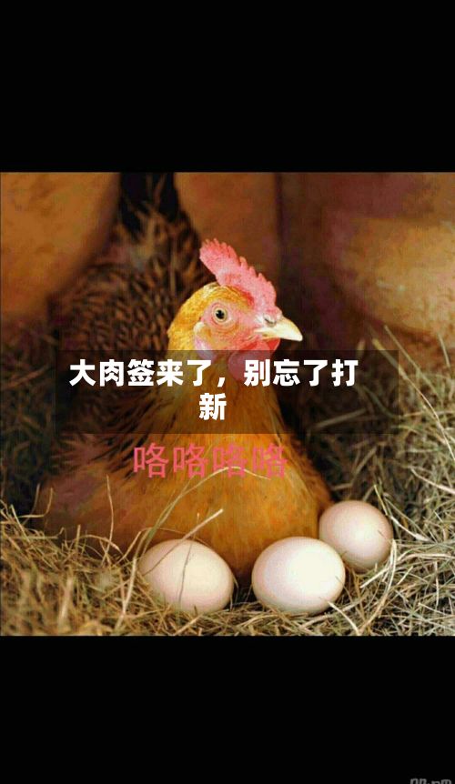 大肉签来了，别忘了打新-第3张图片