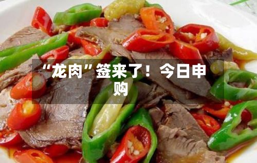 “龙肉”签来了！今日申购-第3张图片