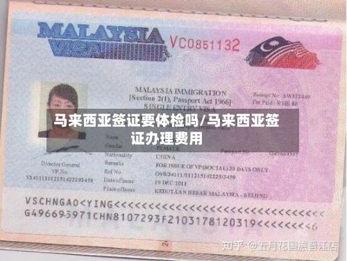马来西亚签证要体检吗/马来西亚签证办理费用-第2张图片