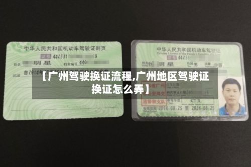 【广州驾驶换证流程,广州地区驾驶证换证怎么弄】